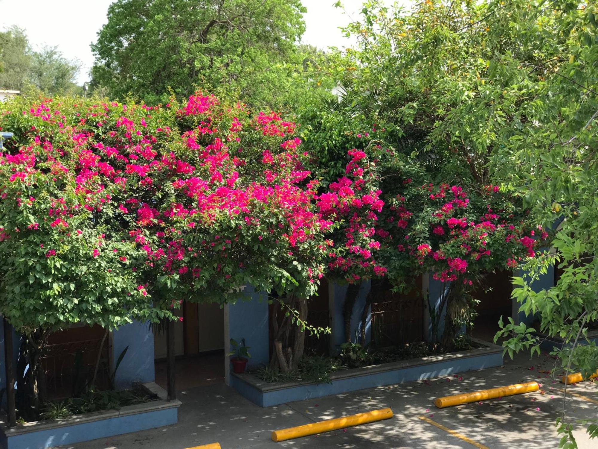 Hotel Hacienda Del Viejo Matamoros  Bagian luar foto